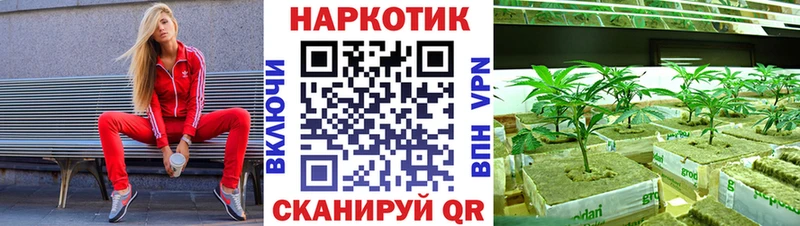 Где найти наркотики Пустошка ГАШ Бошки Шишки ТГК МЕФ A PVP