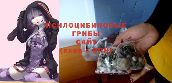 эйфоретик Аркадак