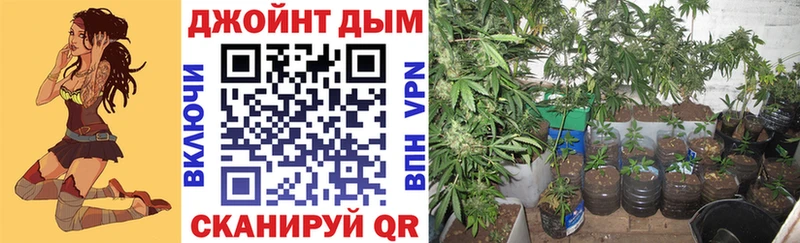 наркошоп Пустошка мега зеркало Конопля план